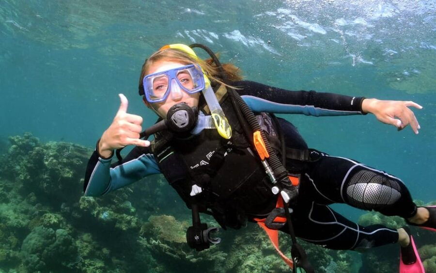 Diving Tour From Side With Lunch Included - Tour Overview