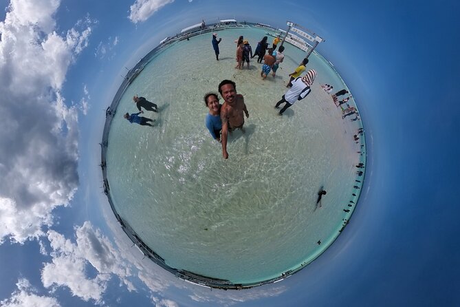 Dolphin and Turtle Sightseeing Tour of Panglao With Snorkeling