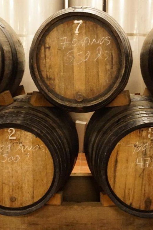Douro: Quinta Levandeira Do Roncão Tour & Wine Tasting
