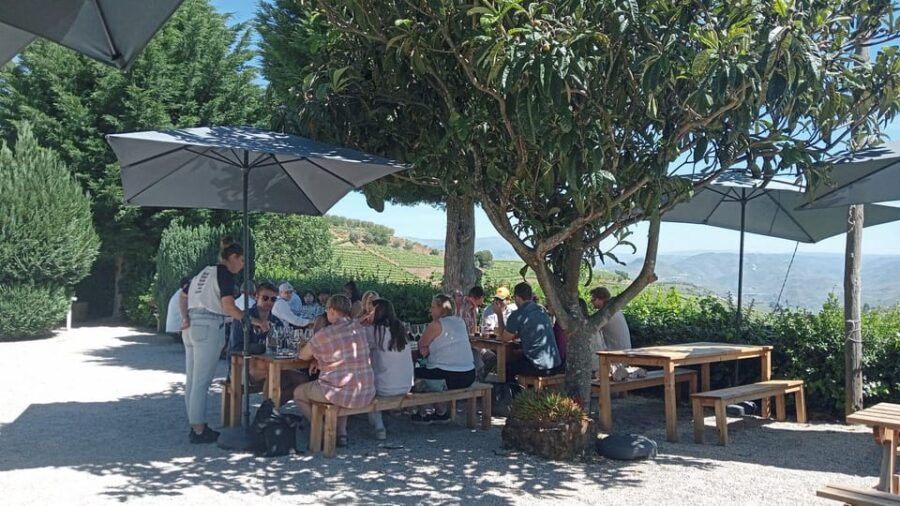 Douro Tour With Wine Tasting and Visit to Lamego and Pinhão
