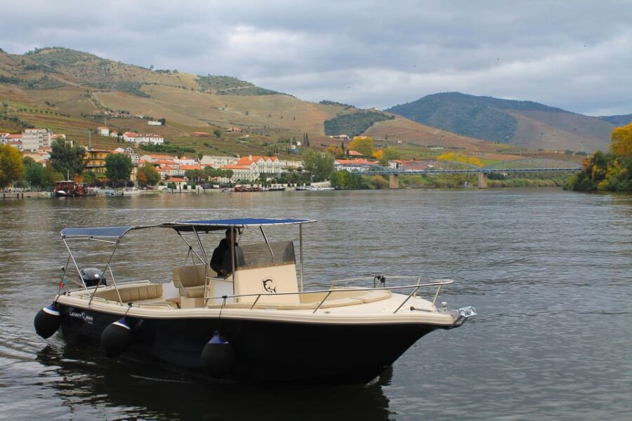 Douro Valley: 1 Hour Cruise With Sparkling Wine - Cruise Overview and Pricing