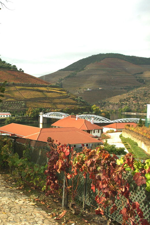 Douro Valley: From Casal De Loivos to Pinhão Walk and Wine - Trip Overview and Pricing