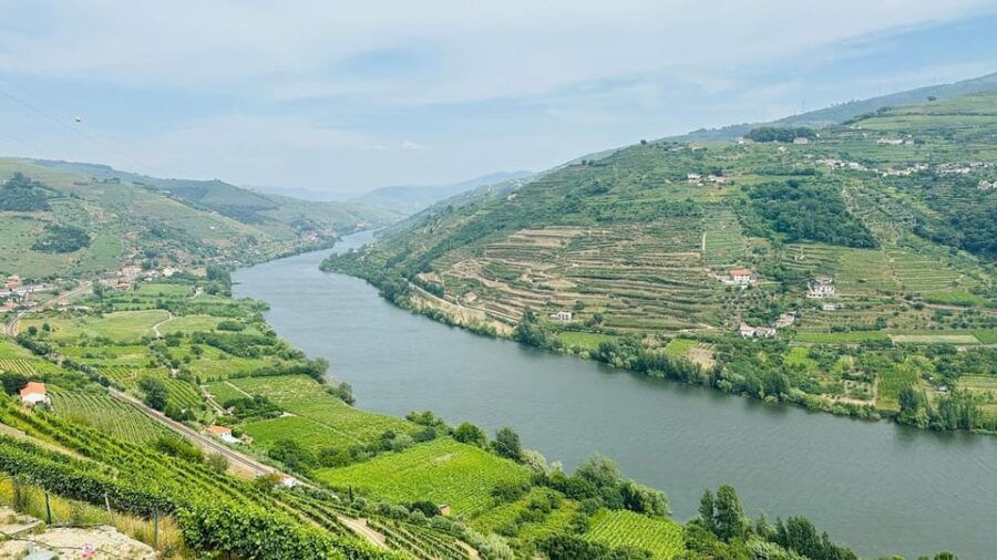 Douro Valley Journey: 4 Cities and Wine Estate All-Included