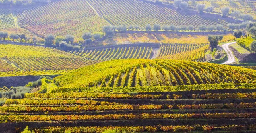 Douro Valley, ONE OF A RIDE – MORE THAN A JOURNEY