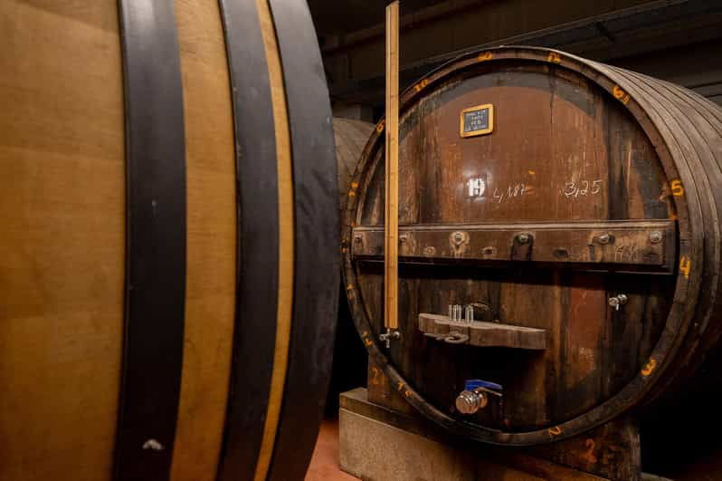 Douro Valley: PORT WINE DISCOVERY JOURNEY