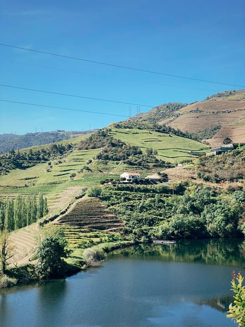 Douro Valley: PRIVATE TOURS With Wine Tasting and Lunch - Tour Overview and Pricing