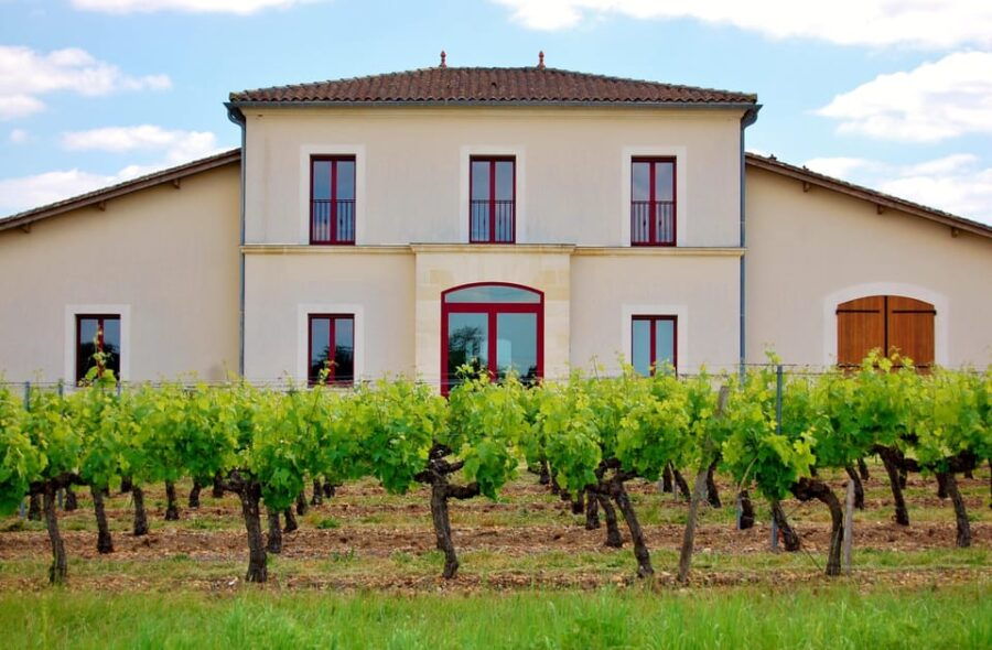 Educational Hiking in Bordeaux Vineyard