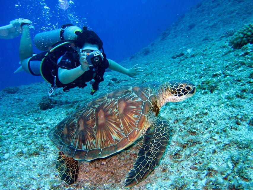 Enhanting 2 Hours Diving in Antalya Any Time of the Day