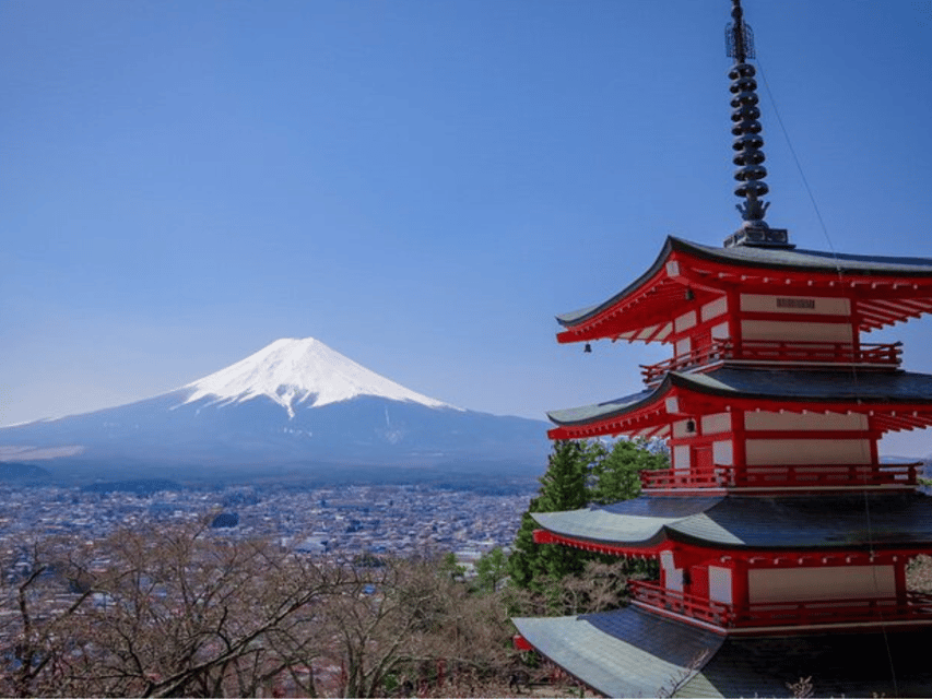 Enjoy Private Chauffeured Tour of Mt. Fuji