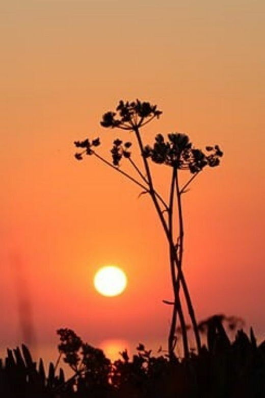 3 Best Bike Tours In Ericeira