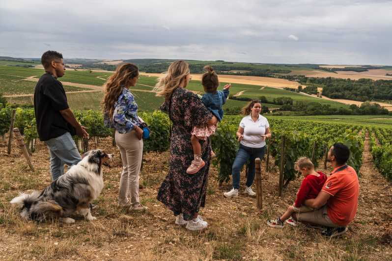 Escapade and Tasting in the Chablis Vineyards - Overview of the Experience