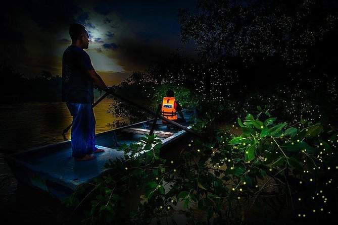 Escape to Kuala Selangor Firefly Park With Dinner