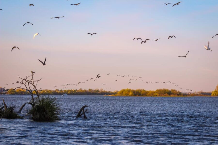 Escaroupim: 1 Hour Boat Trip, Guided Tour - Overview of Escaroupim Boat Trip