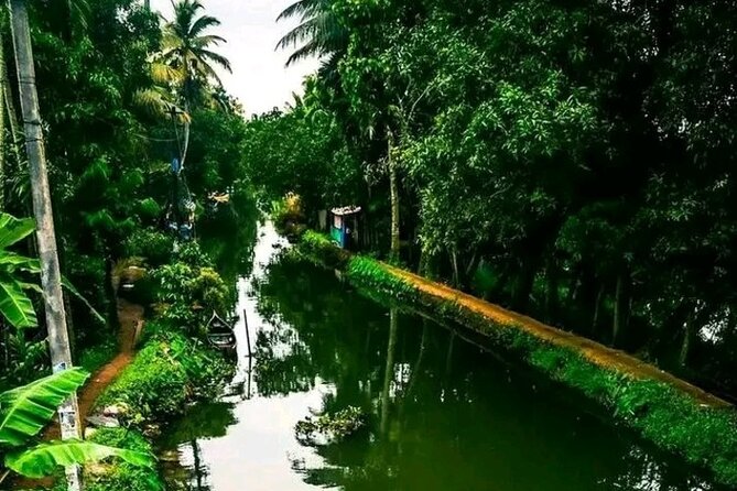 Ethnic Villages, Coconut Lagoons & Rice Paddies Experience Tours - Tour Highlights
