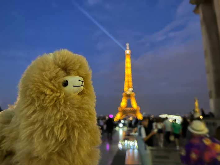 Evening City Tour Around Paris - Tour Overview