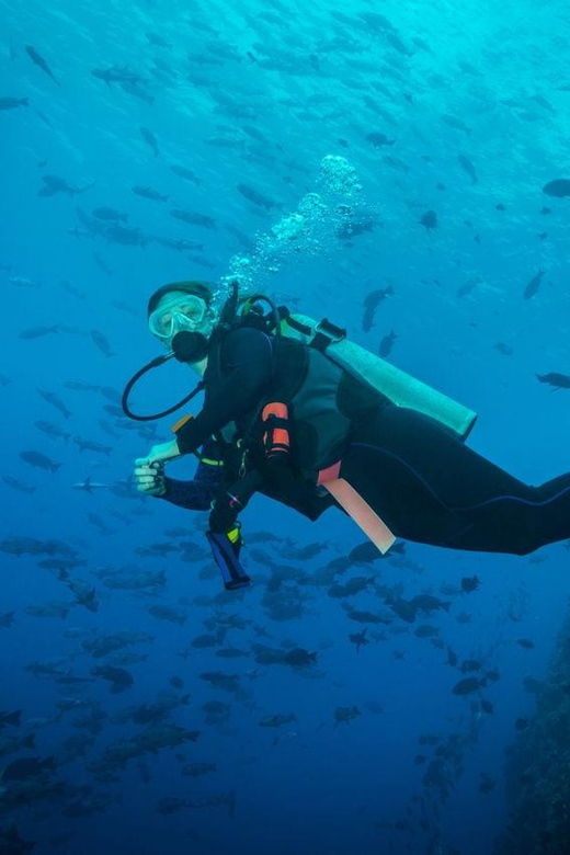 Exciteful Scuba Diving Experience in Antalya - Overview of the Experience