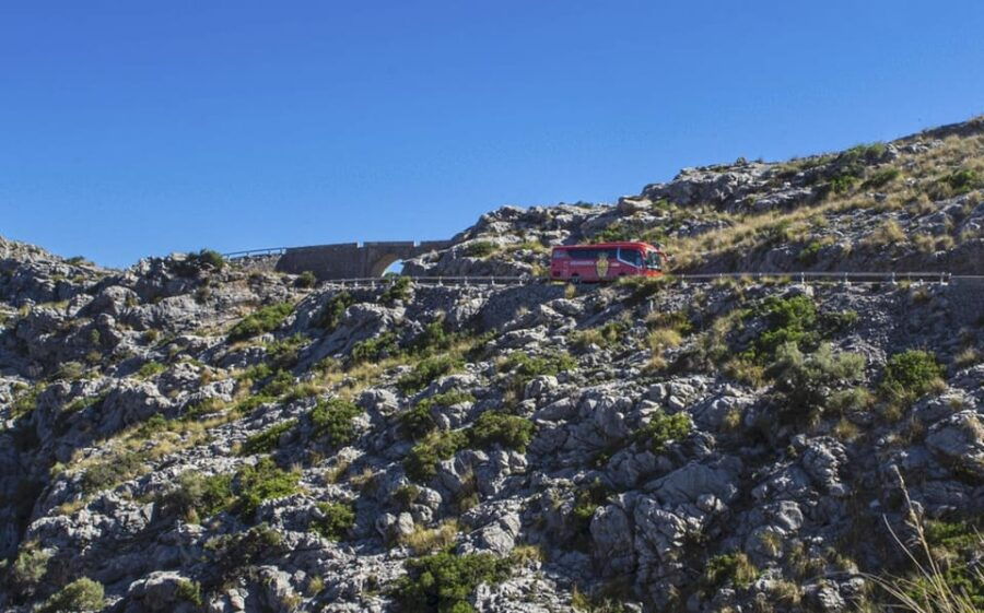 Exclusive Mallorca Island Tour: Boat, Train, Bus and Guide