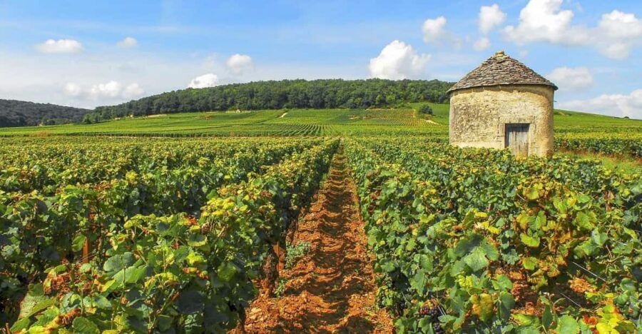 Excursion From PARIS to BEAUNE : the Vineyards of Burgundy - Overview of the Excursion