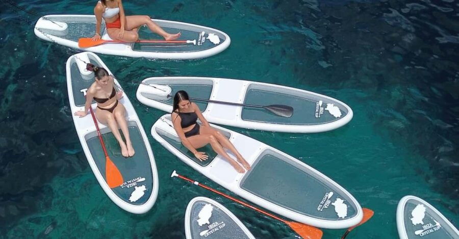 Experience Crystal Paddle Sup Tours + Snorkel