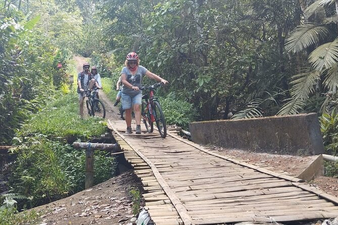 Experience Cycling Tour to Bali UNESCO Heritage Site in Jatiluwih - Inclusions and Amenities