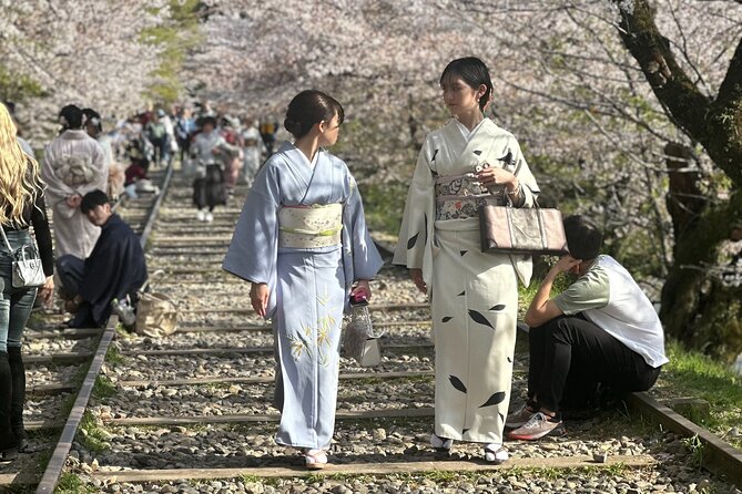 Explore Kyoto, Nara & Osaka With Private Transportation