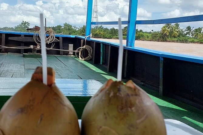 Explore Mekong Delta 1 Day Private Tour - Tour Overview