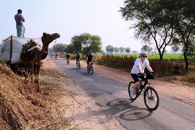 Explore Villages Of Rajasthan By Bicycle With Lunch - Cycling Route Highlights