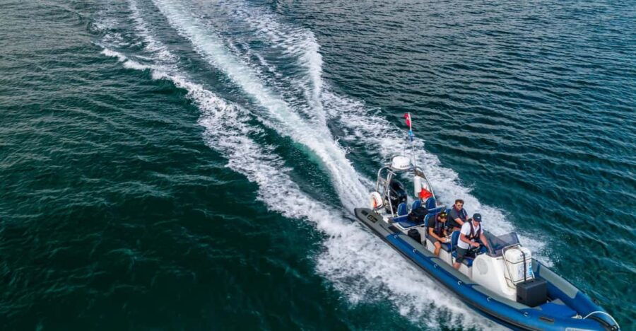 Falmouth: Two Hour RIB Tour