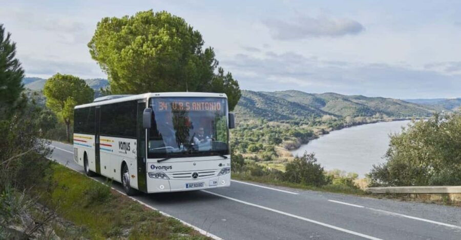 Faro Airport: Bus Transfer To/From Faro City Centre - Overview of Bus Transfers