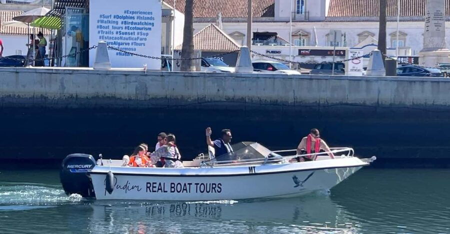 Faro - Dolphin Watching Boat Tour - Tour Overview