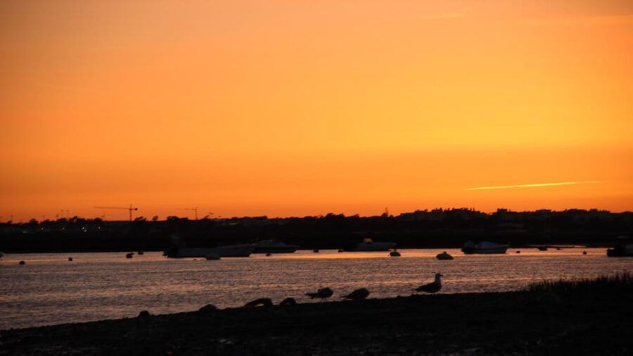 Faro: Ria Formosa Sunset Boat Trip From Faro - Activity Overview