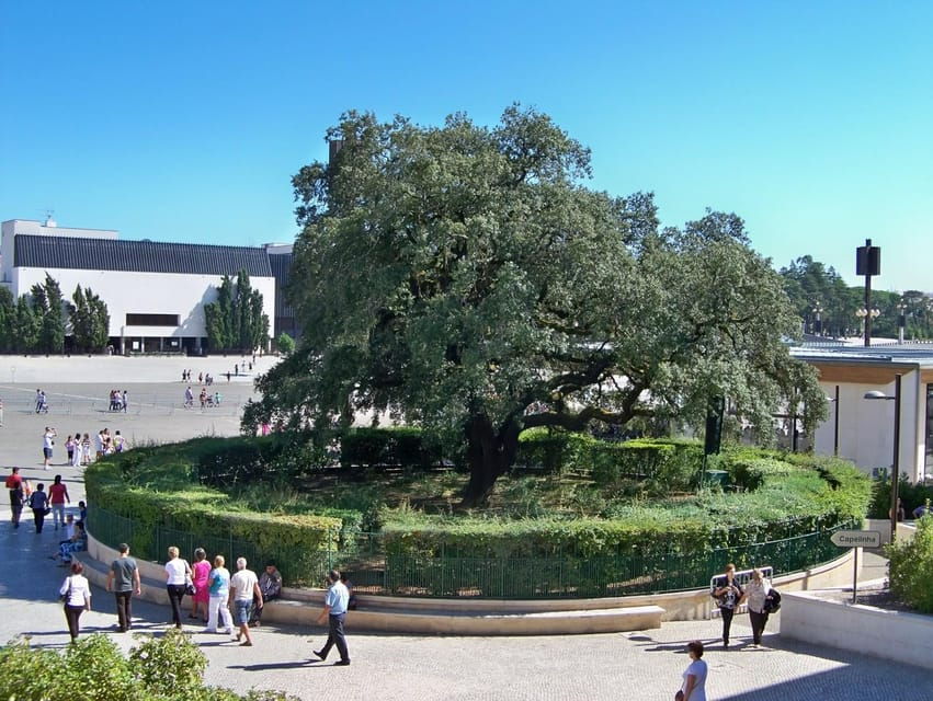 Fátima, Nazaré and Óbidos, Full Day, From Lisbon