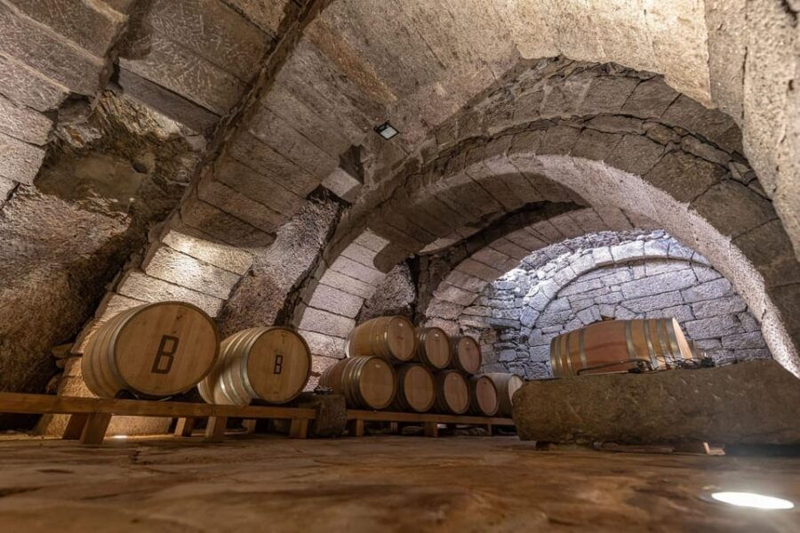 Fermoselle; Visit to the Historical Winery With Wine Tasting