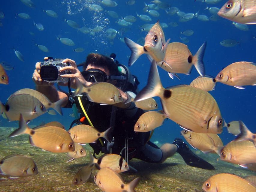 Fethiye: Ölüdeniz Scuba Diving Tour - Tour Overview