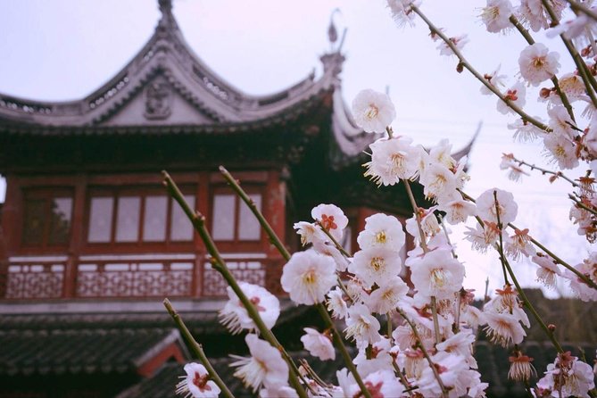 Flexible Shanghai Private Day Tour From Suzhou by Bullet Train