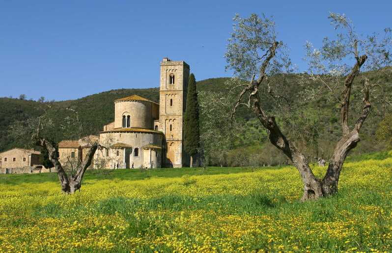 Florence: Val D'Orcia, Montalcino, Pienza With Lunch & Wine - Tour Overview and Pricing
