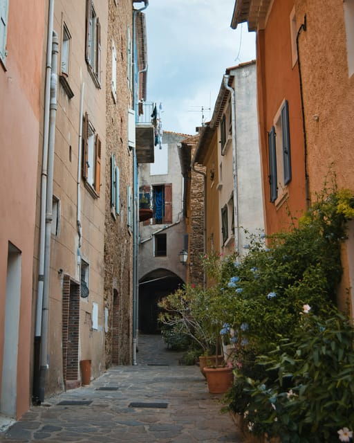 Flower City Bormes Les Mimosas | Private Tour Guide - Overview of the Tour