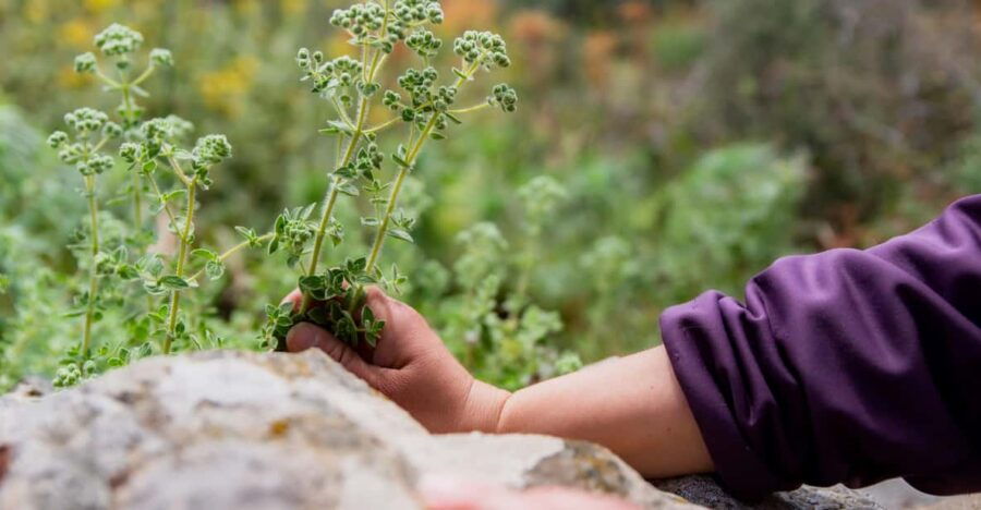 Follow the Riverside Hiking Tour (Private Experience)