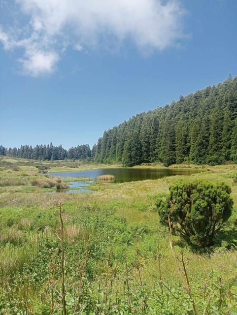 Forest Bathing Activity - Activity Overview