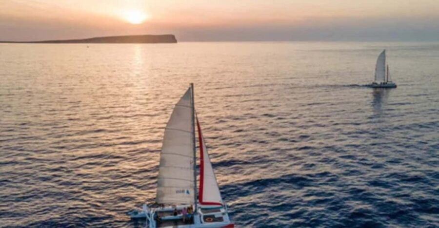 Fornells: Catamaran Sunset Cruise of Menorcas Coast - Experience Highlights