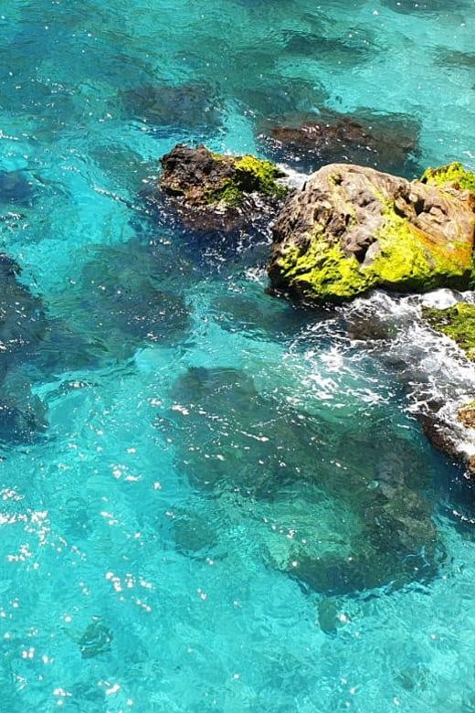 Free Route in Paddle Surf by the Nerja and Maro Waterfall 🏄‍♂️