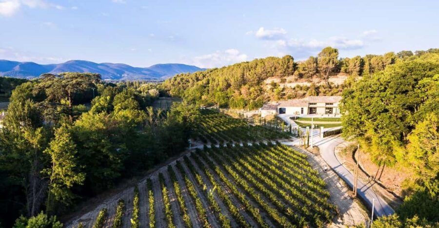 Free Tour of the Olive Oil Mill and Olive Oil Tasting - Tour Overview