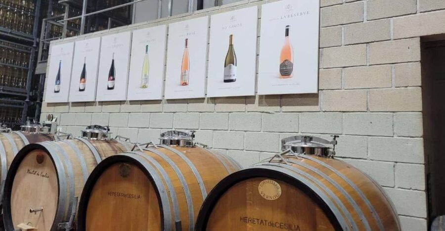 From Alicante: Winery Tour and Wine Tasting With Tapas