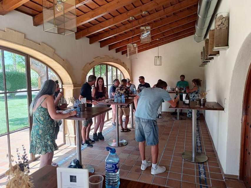 From Altea,Benidorm,Alicante: Winery Tour and Wine Tasting