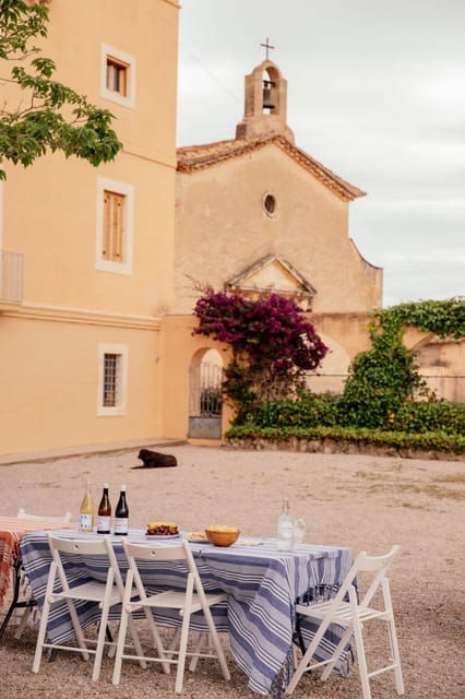 From Barcelona: Penedès SUNSET Wine Tasting + Picnic + Tapas - Tour Overview and Pricing