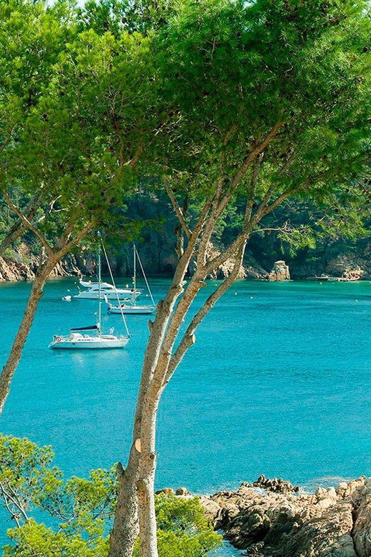 From Barcelona: to Aiguablava & Tamariu Beaches, Costa Brava