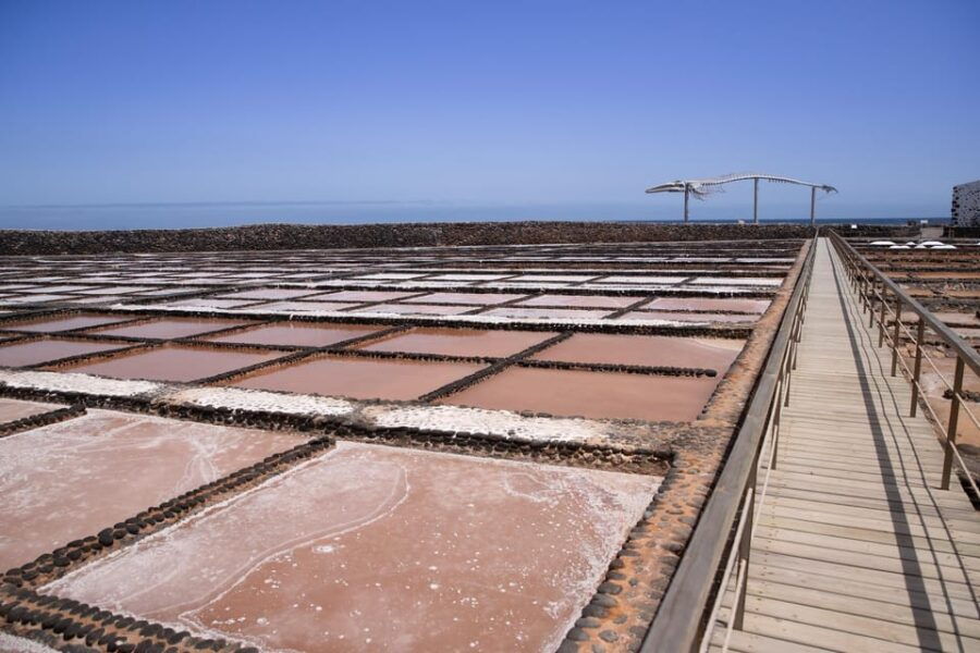 From Caleta De Fuste: Explore Rural Fuerteventura Tour