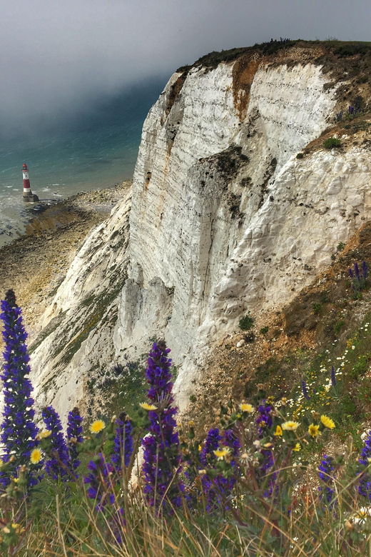 From Cambridge: Guided Day Tour to Brighton & Beachy Head