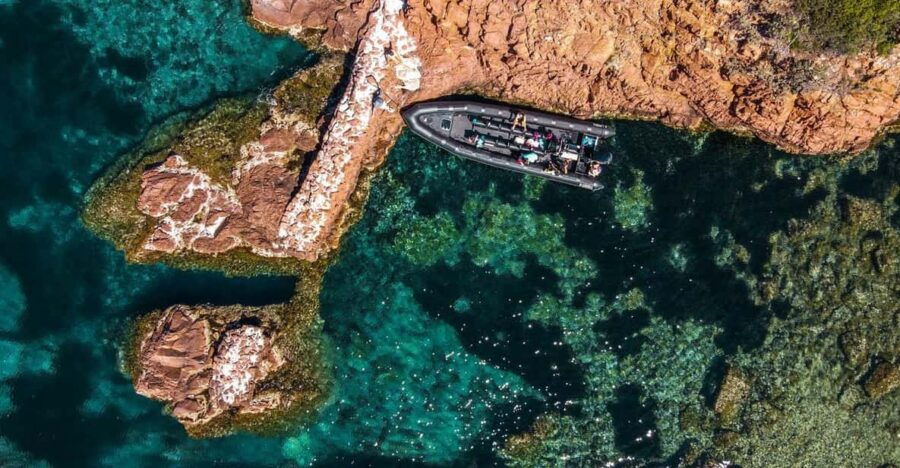 From Cannes: Discover the Calanques of the Esterel