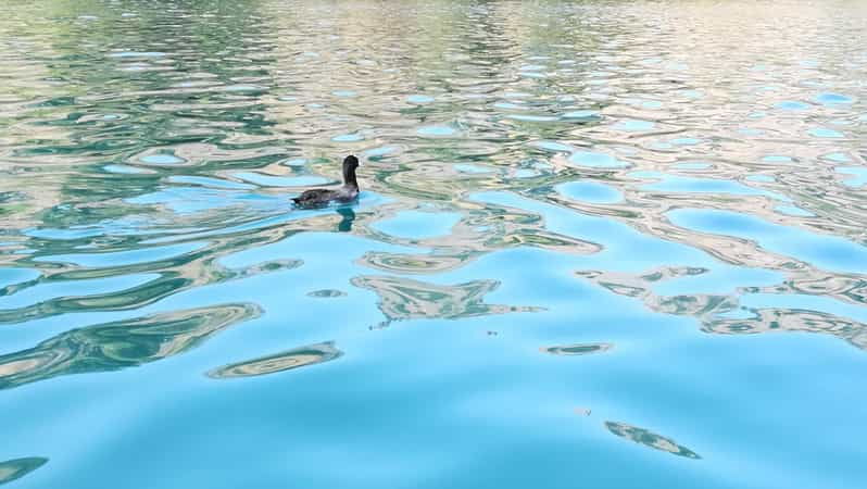 From Chania: Lake Kournas & Argiroupoli Springs Guided Tour - Tour Overview